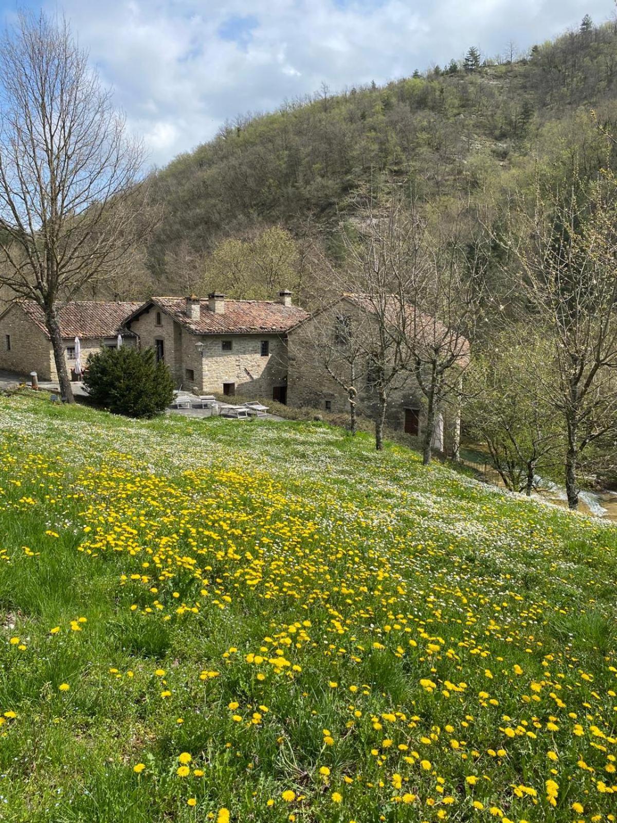 Borgo Corniola B&B Naturista Marradi Exterior photo